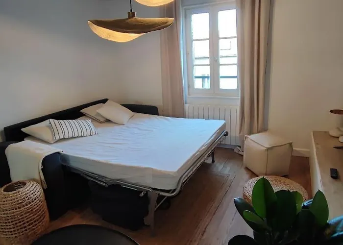 Appartement De Charme Au Coeur De Ville